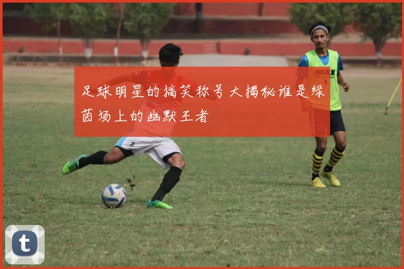 足球明星的搞笑称号大揭秘谁是绿茵场上的幽默王者