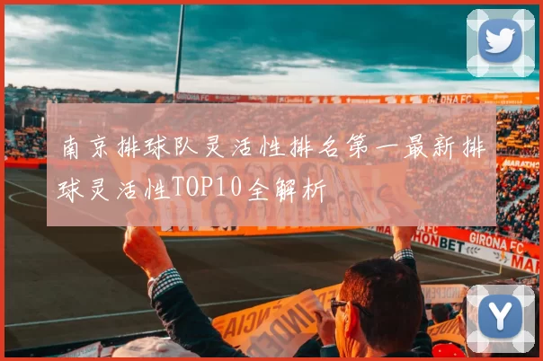 南京排球队灵活性排名第一最新排球灵活性TOP10全解析