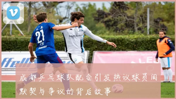 成都乒乓球队配合引发热议球员间默契与争议的背后故事