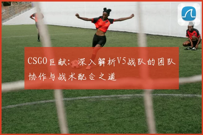 CSGO巨献：深入解析V5战队的团队协作与战术配合之道