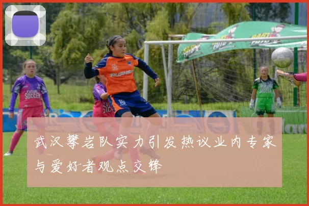 武汉攀岩队实力引发热议业内专家与爱好者观点交锋