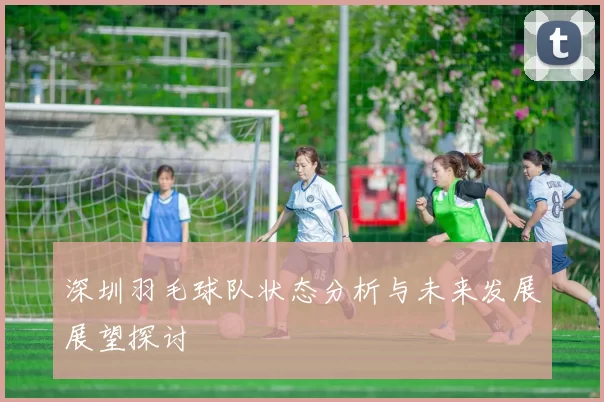 深圳羽毛球队状态分析与未来发展展望探讨