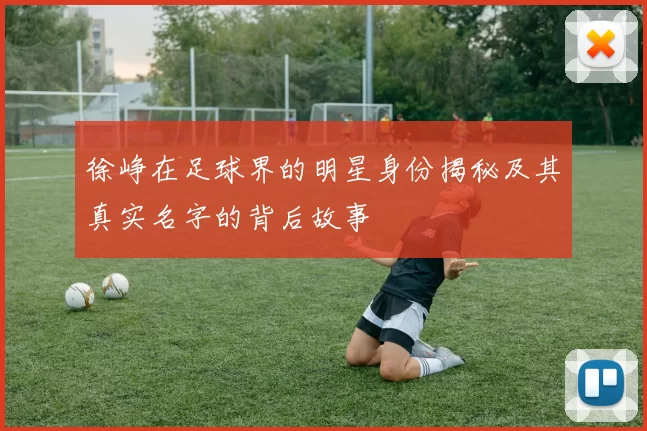徐峥在足球界的明星身份揭秘及其真实名字的背后故事