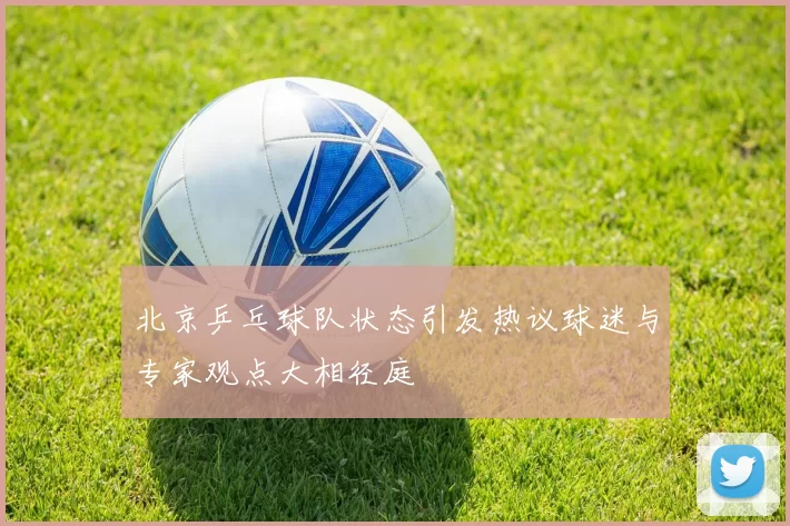 北京乒乓球队状态引发热议球迷与专家观点大相径庭