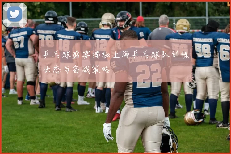 乒乓球盛宴揭秘上海乒乓球队训练状态与备战策略