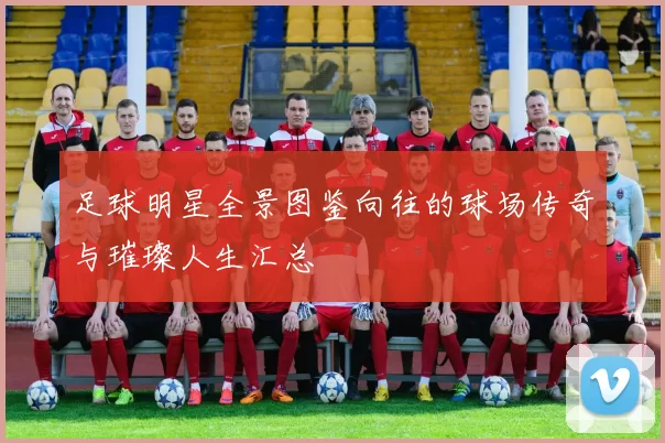 足球明星全景图鉴向往的球场传奇与璀璨人生汇总