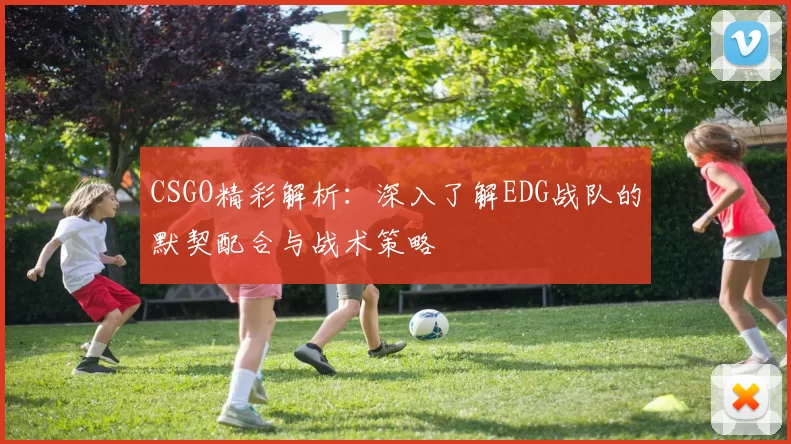 CSGO精彩解析：深入了解EDG战队的默契配合与战术策略