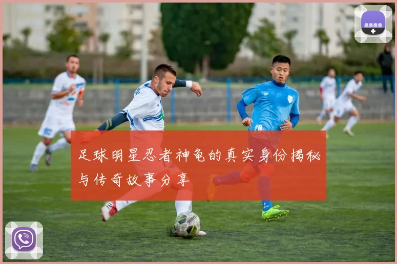 足球明星忍者神龟的真实身份揭秘与传奇故事分享