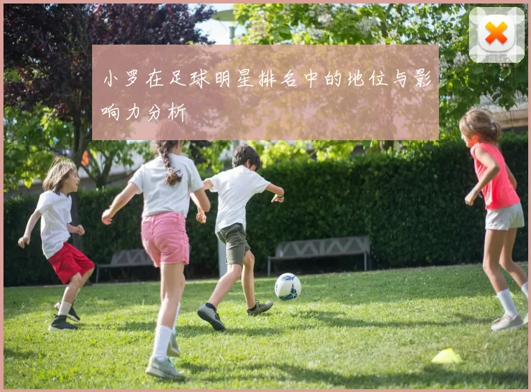 小罗在足球明星排名中的地位与影响力分析
