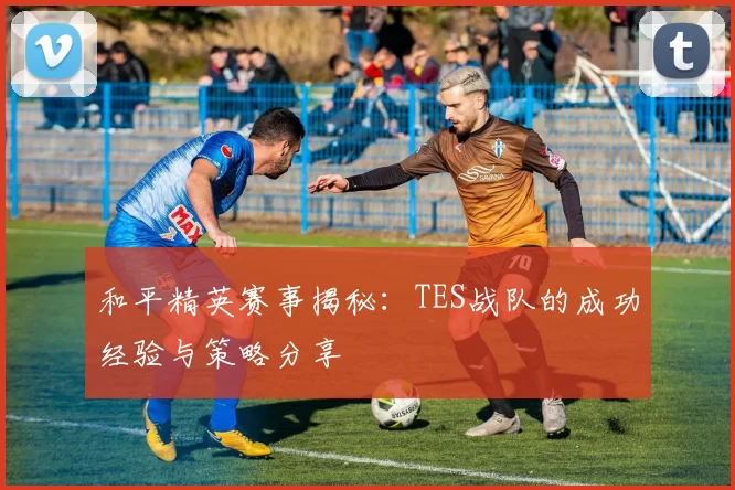 和平精英赛事揭秘：TES战队的成功经验与策略分享