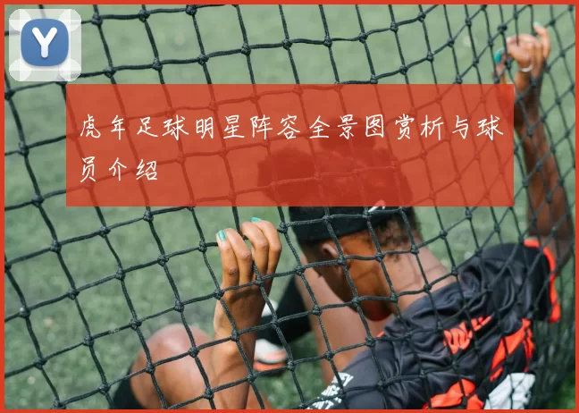 虎年足球明星阵容全景图赏析与球员介绍