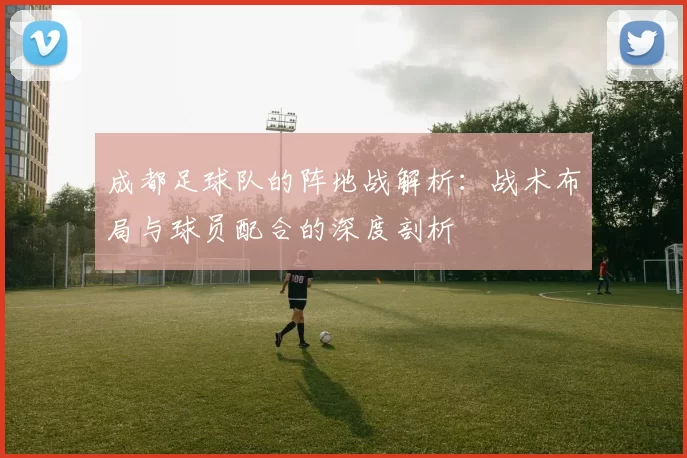 成都足球队的阵地战解析：战术布局与球员配合的深度剖析