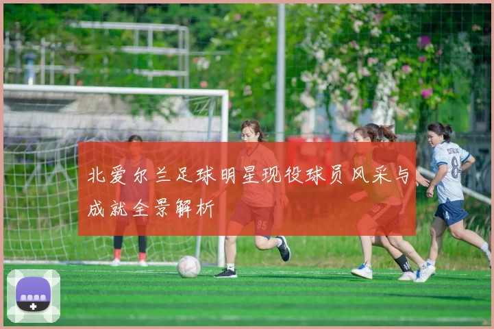 北爱尔兰足球明星现役球员风采与成就全景解析
