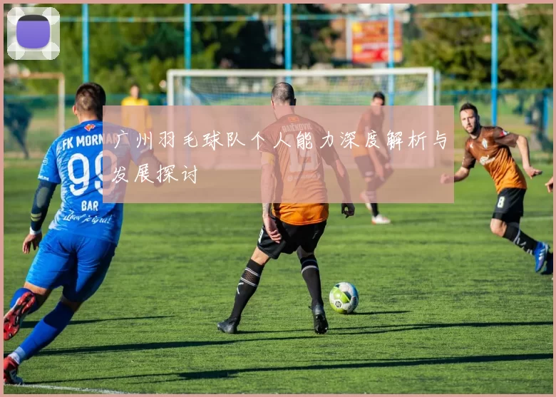 广州羽毛球队个人能力深度解析与发展探讨