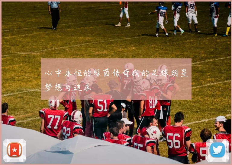 心中永恒的绿茵传奇我的足球明星梦想与追求
