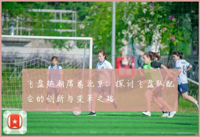 飞盘热潮席卷北京：探讨飞盘队配合的创新与变革之路