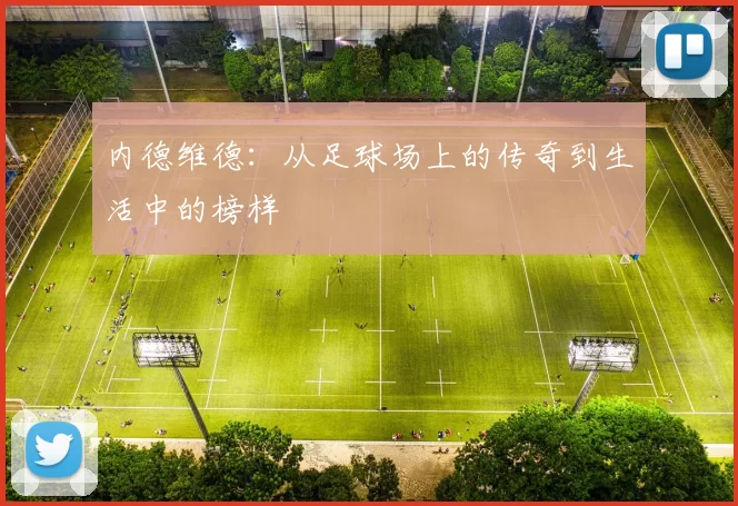 内德维德：从足球场上的传奇到生活中的榜样