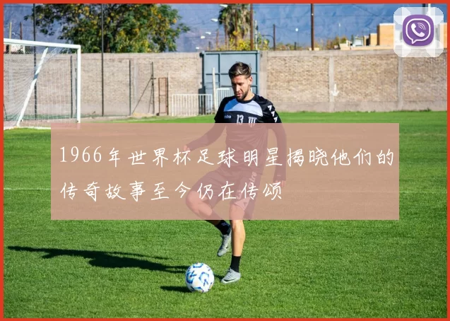 1966年世界杯足球明星揭晓他们的传奇故事至今仍在传颂