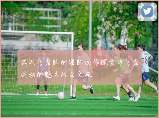 武汉飞盘队的团队协作探索与飞盘运动的魅力结合之旅