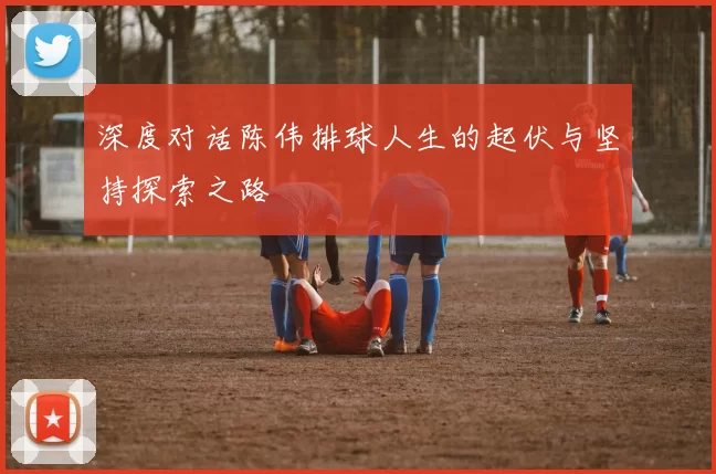 深度对话陈伟排球人生的起伏与坚持探索之路