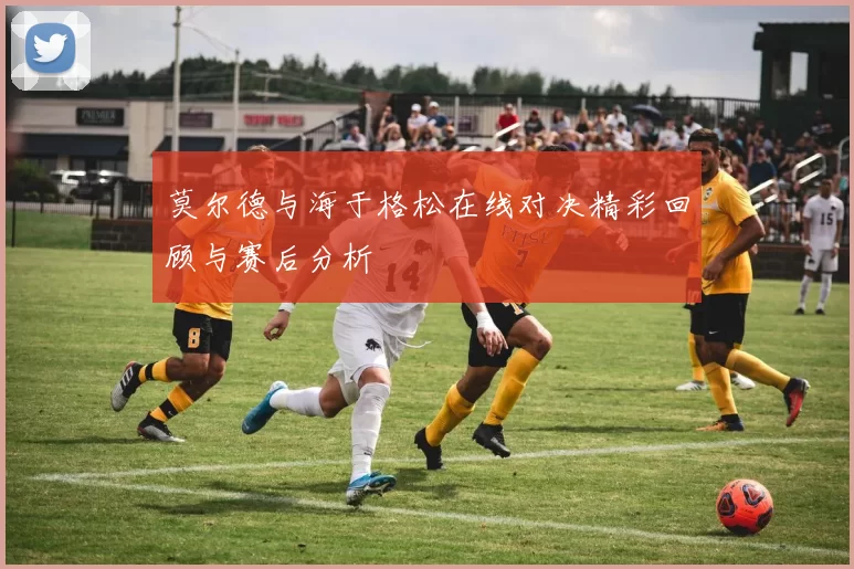 莫尔德与海于格松在线对决精彩回顾与赛后分析