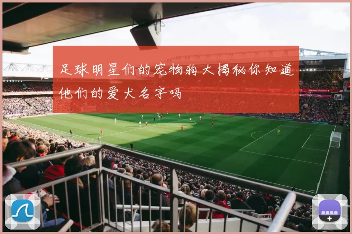 足球明星们的宠物狗大揭秘你知道他们的爱犬名字吗