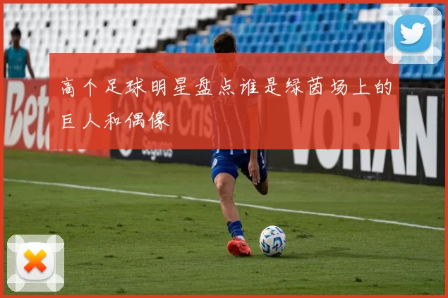 高个足球明星盘点谁是绿茵场上的巨人和偶像