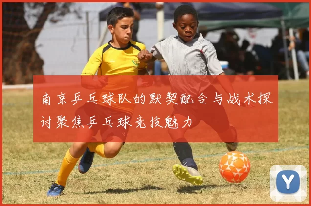 南京乒乓球队的默契配合与战术探讨聚焦乒乓球竞技魅力