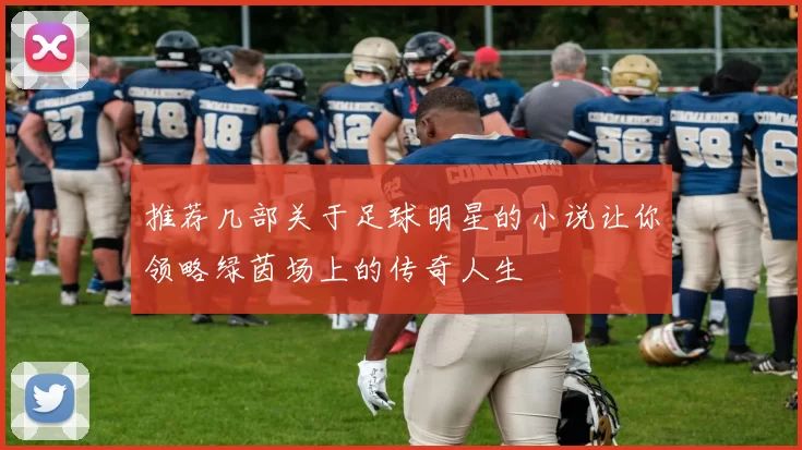 推荐几部关于足球明星的小说让你领略绿茵场上的传奇人生