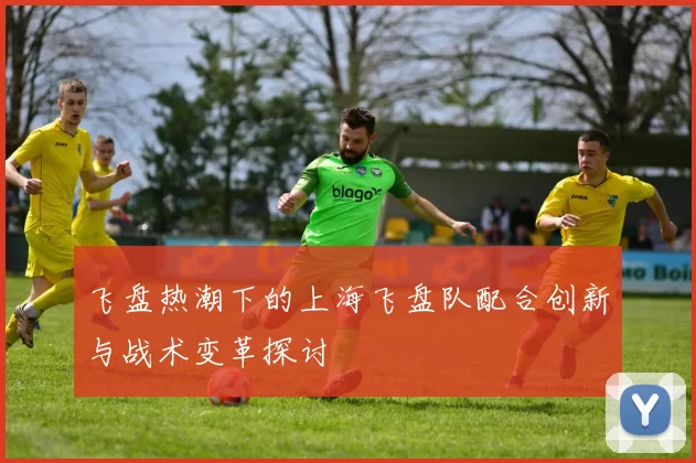 飞盘热潮下的上海飞盘队配合创新与战术变革探讨