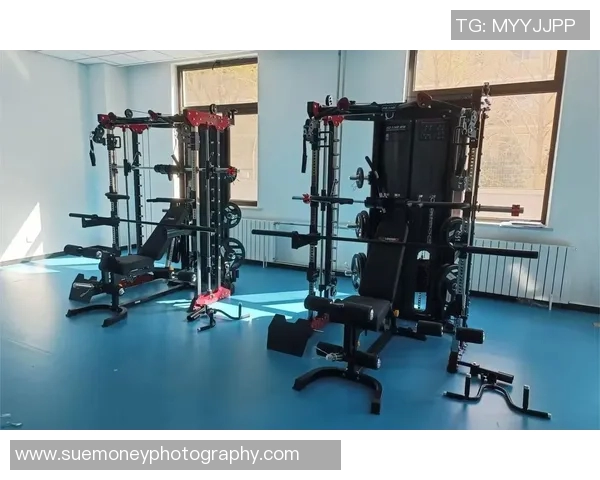 全面探索健身器材的种类、功能与使用技巧助你实现高效锻炼目标