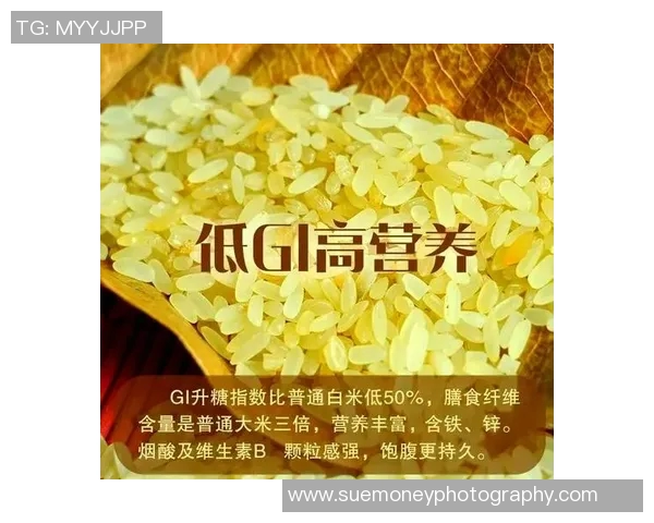 大米的营养价值与多样化食用方式探索，助力健康饮食与美味享受