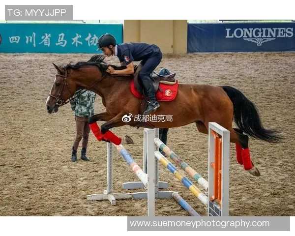 成都排球队的耐力训练与比赛表现深度探讨