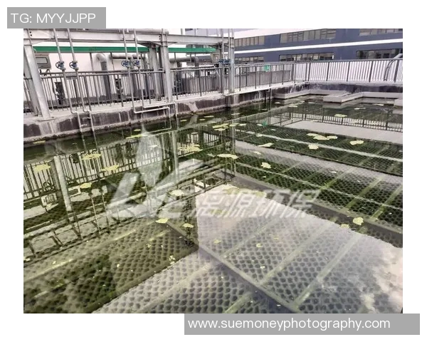 环保废气废水处理技术创新与应用发展现状分析