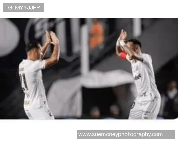 桑托斯与保地花高SP激战正酣谁能在这场对决中脱颖而出